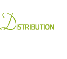 text1